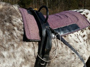 Die Safety Leine befreit das Pferd sofort von den elastischen Bändern